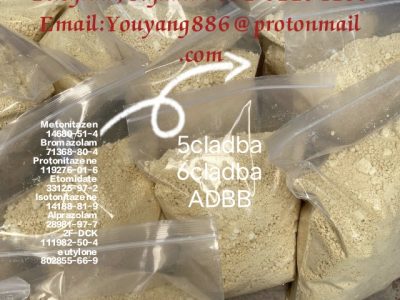 5cladba precursor raw material 5cl-adb adbb 5cladba eutylone bromazolam sgt151