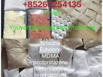 CAS 28578–16–7 PMK ethyl glycidate NEW PMK POWDER