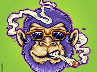 Buy Weed, coke in Kraków (WhatsAp +48 518 036 395)