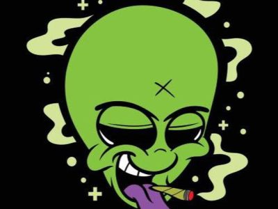 Buy Weed, coke in Gdańsk (WhatsAp +48 518 036 395)