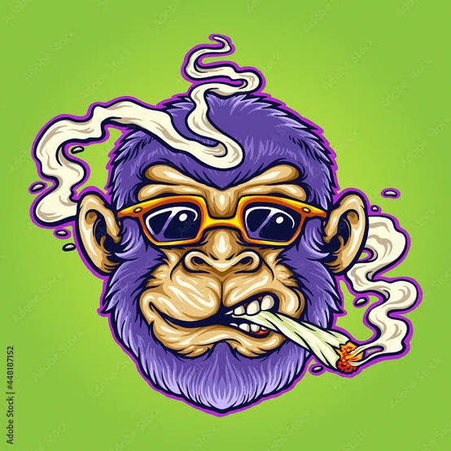 Buy Weed, coke in Gdańsk (WhatsAp +48 518 036 395)