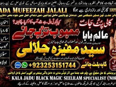 Global Amil Baba & Spiritual Healer Specialist | Kala Jadu Removal, Love Marriage Solutions, Rohani Ilaj & Online Istikhara Worldwide 8