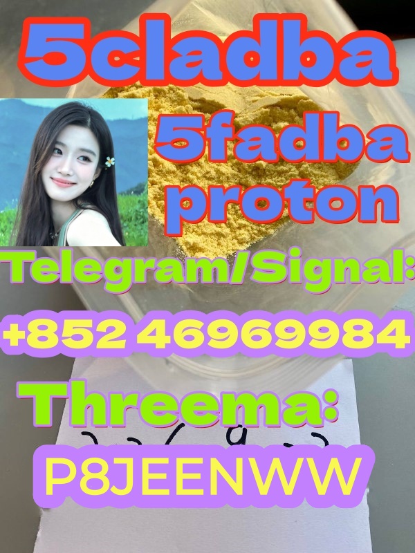 5cladba precursor raw factory price material