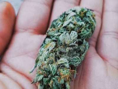 Telegram:(@arven_knox) Buy Coke,Weed,MDMA,Meth,Cannabis,Cocaine in Paris