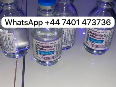 Nembutal Pentobarbital  Sodium, Liquid Oral