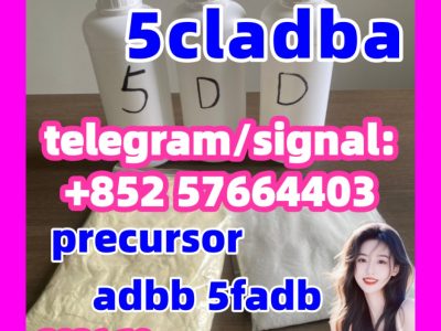 5 c l a d b a at ₹ 2800/piece