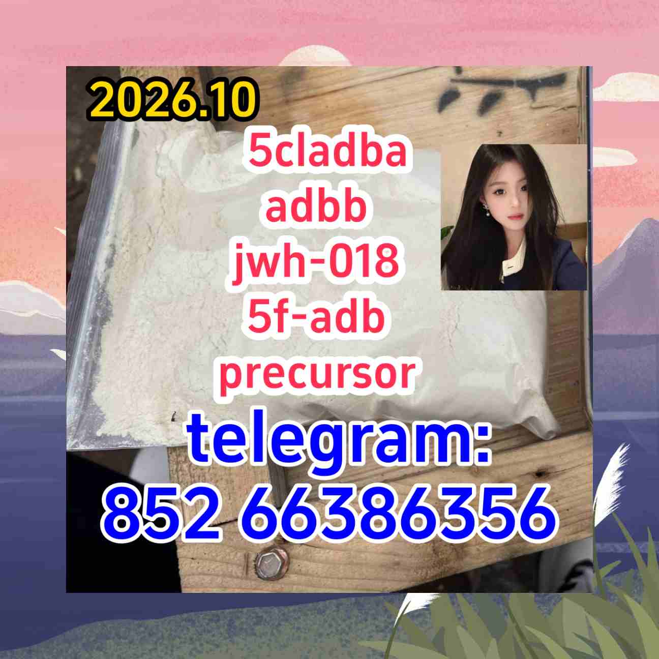 5cladba adbb jwh-018 5f-adb precursor       是日文输入法韦斯特