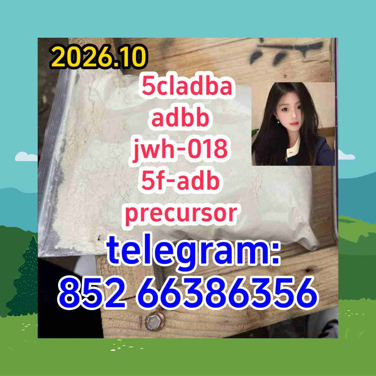 5cladba adbb jwh-018 5f-adb precursor    而台风的乳房