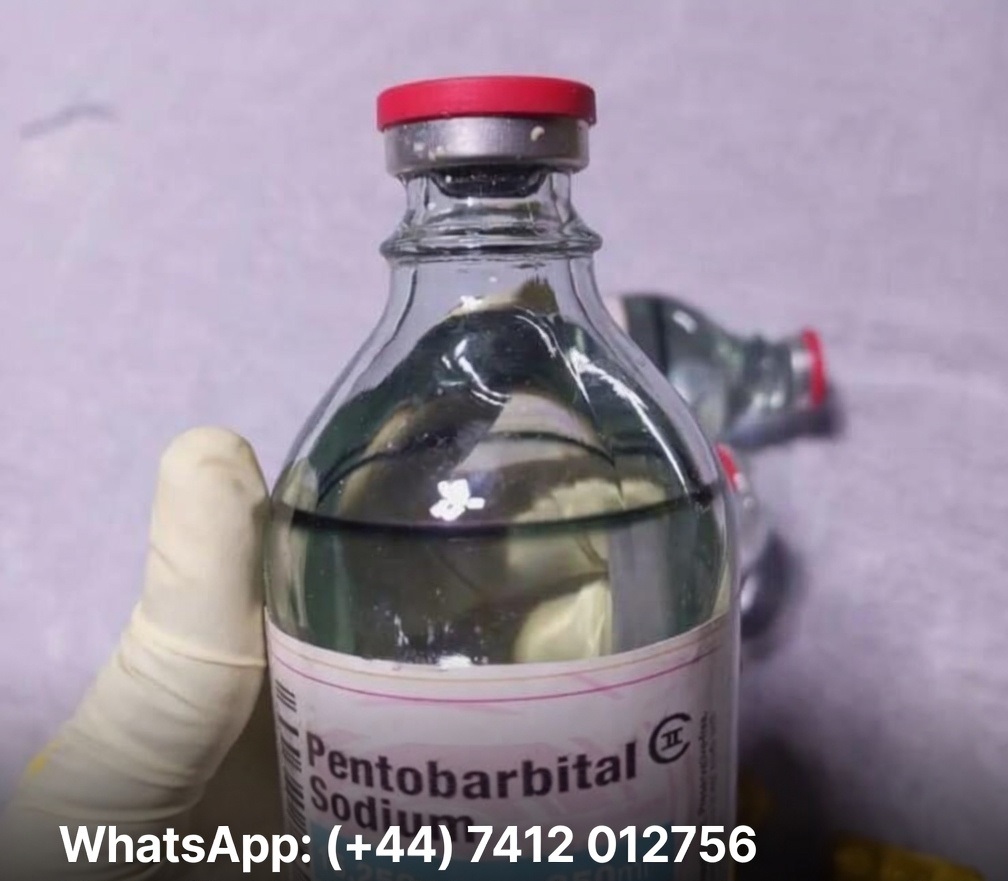 BUY NEMBUTAL PENTOBARBITAL ONLINE LIQUID/POWDER in Mackay WhatsApp: (+44) 7412 012756