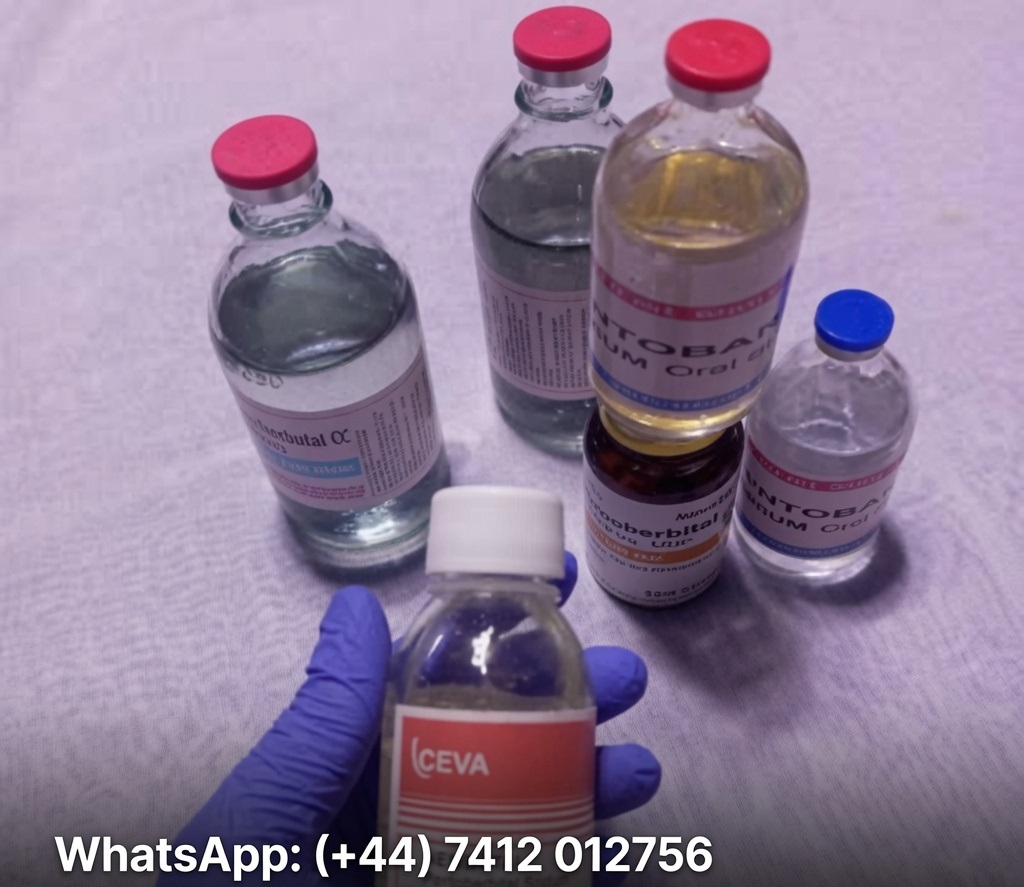 WhatsApp: (+44) 7412 012756 How To Buy Nembutal Online