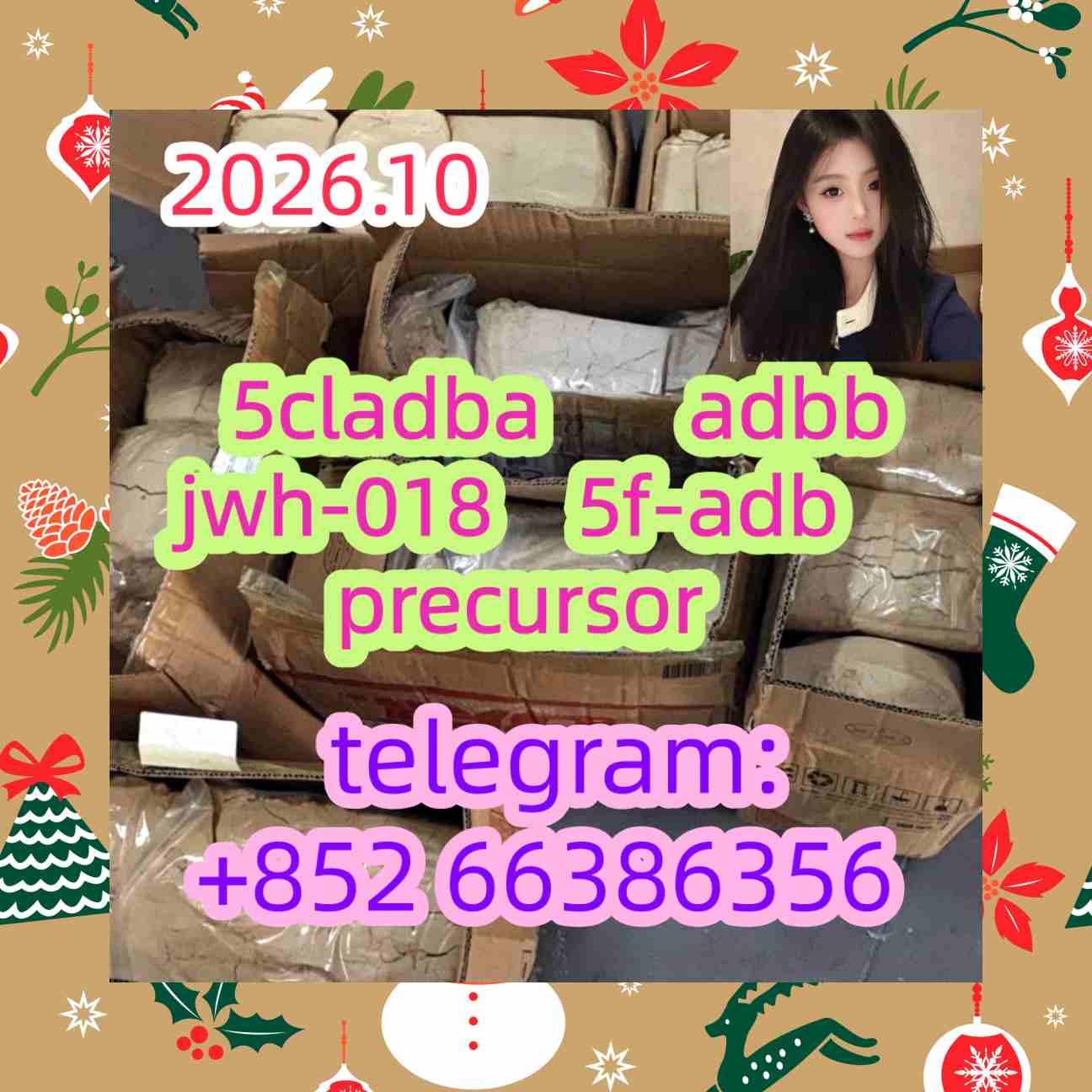 5cladba adbb jwh-018 5f-adb precursor    发动护法国会
