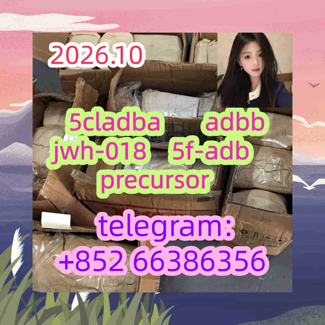 5cladba adbb jwh-018 5f-adb precursor    符合法规