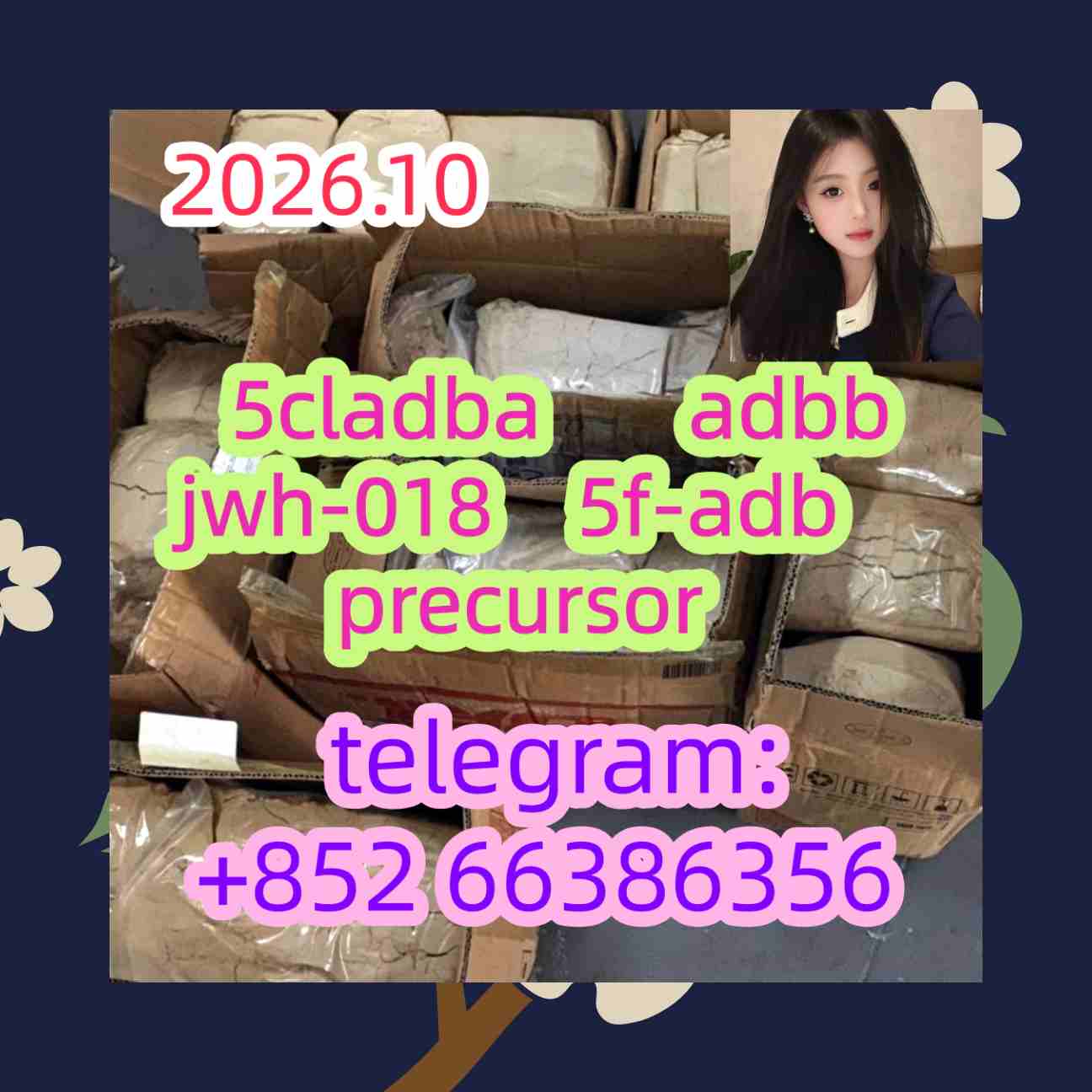 5cladba adbb jwh-018 5f-adb precursor    人的特特让他
