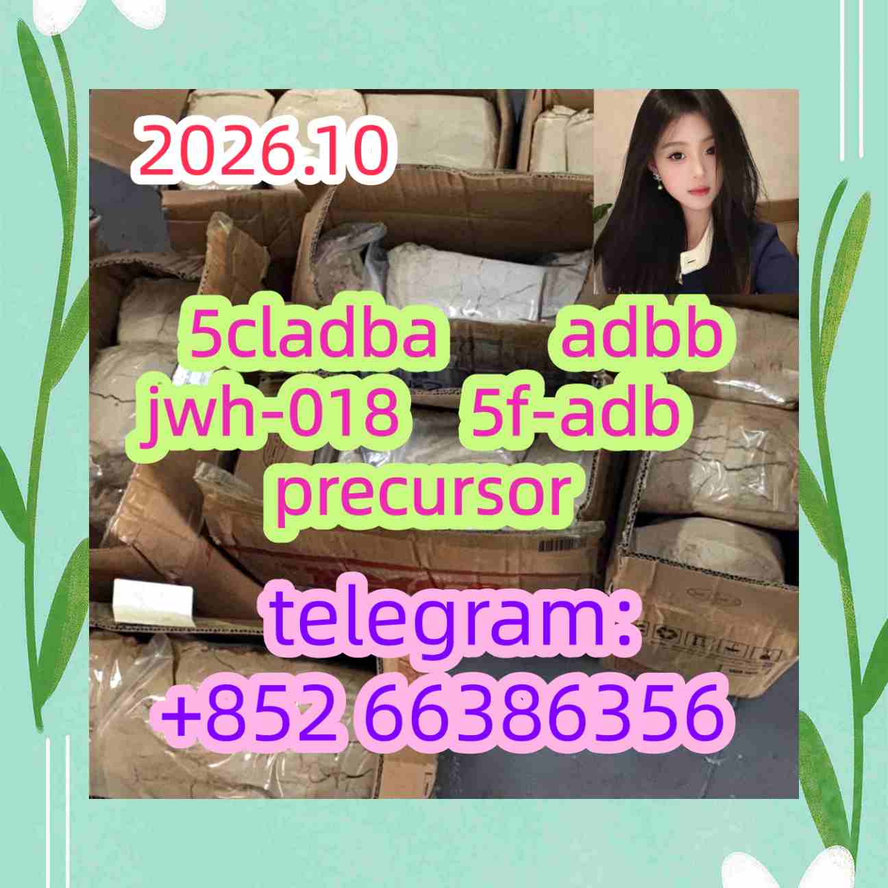 5cladba adbb jwh-018 5f-adb precursor    的推广的人应该