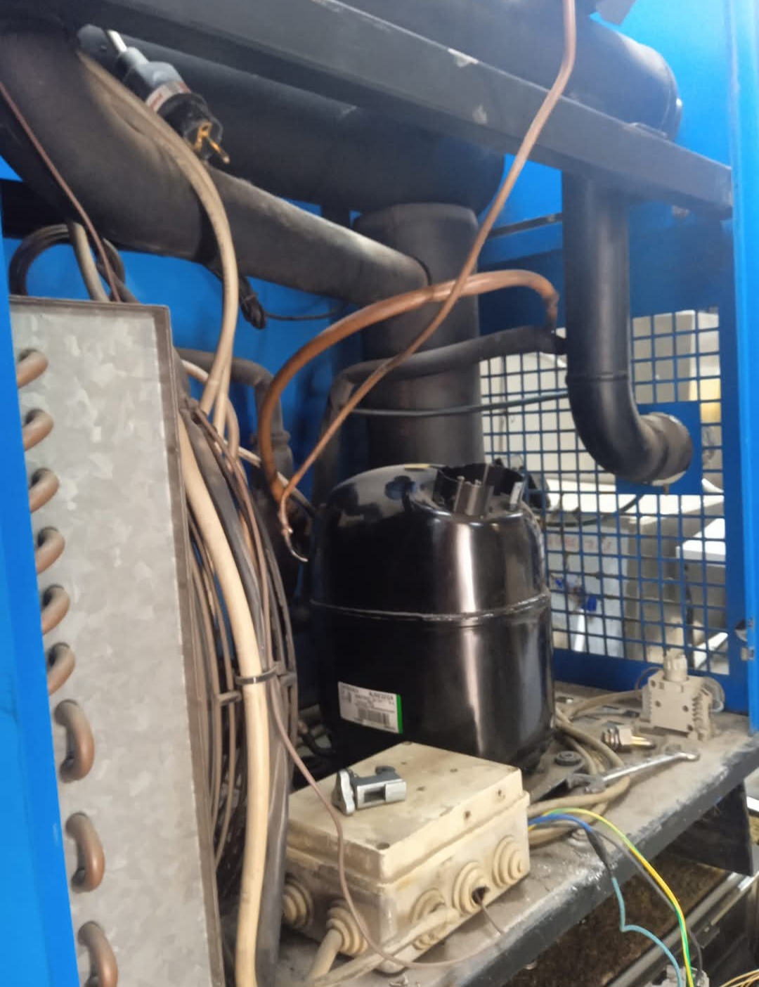 Frigo servis